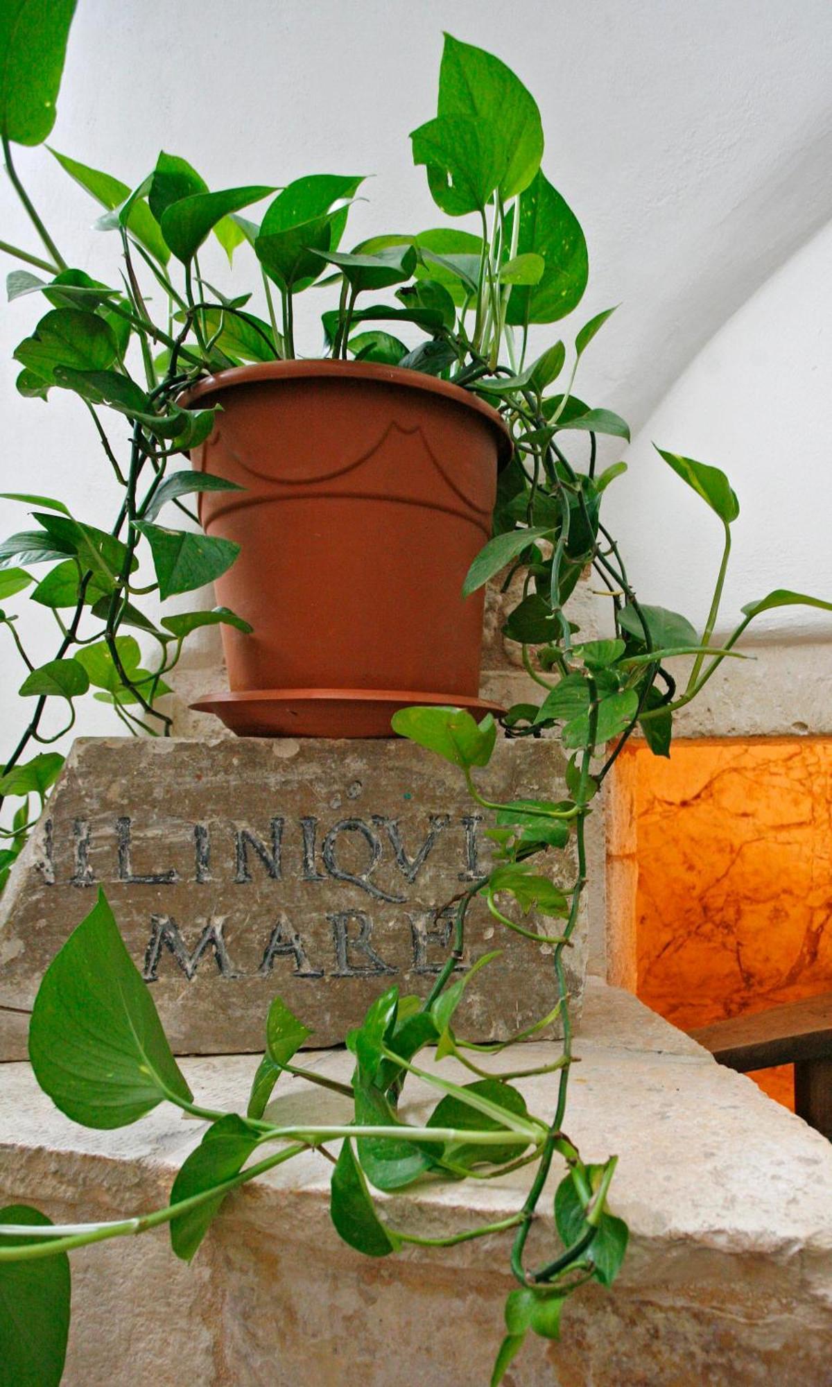 Hotel La Terra Ostuni Exteriör bild